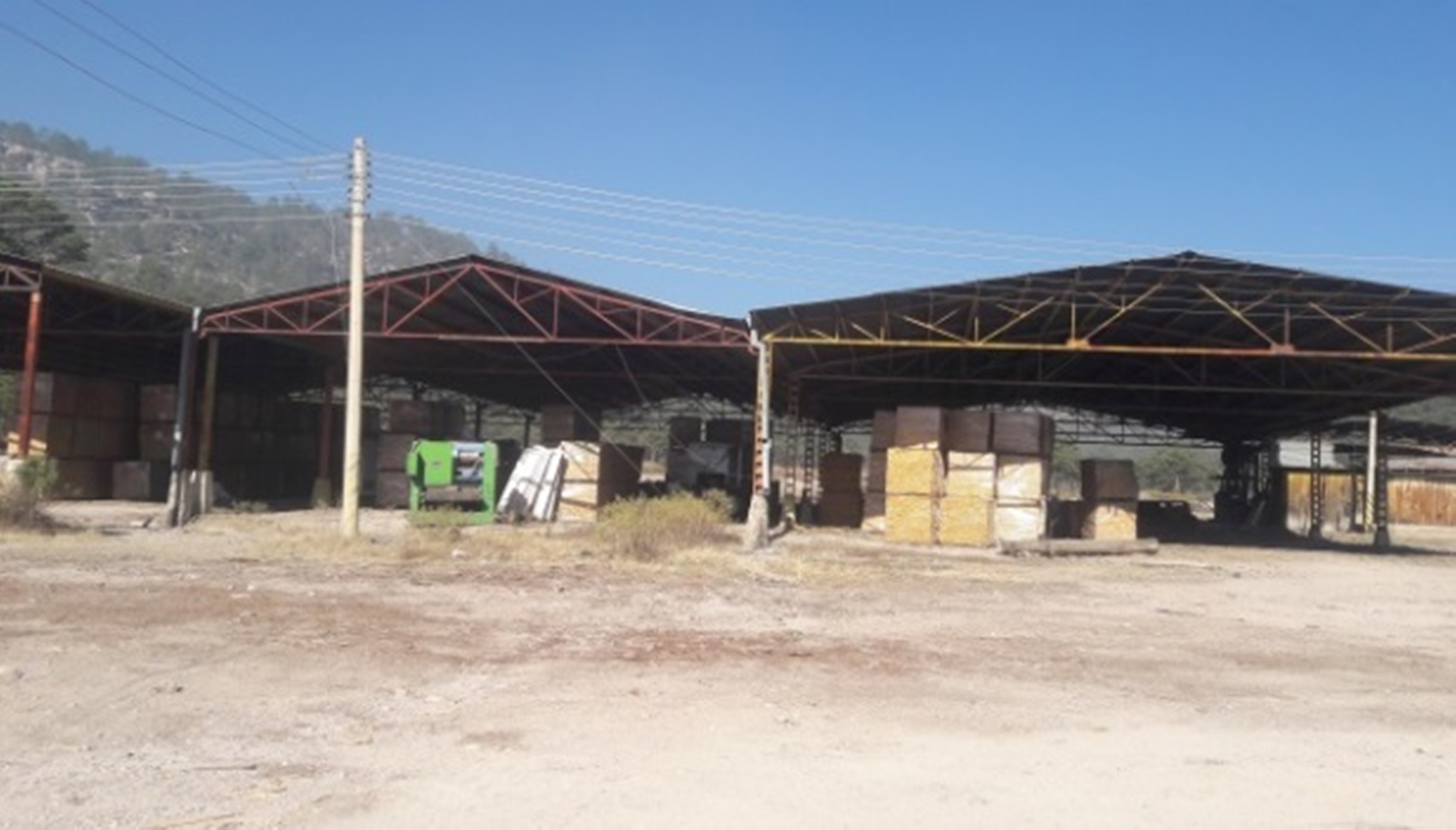 Profepa asegura madera en San Juanito, Chihuahua; los dueños no pudieron acreditar la procedencia legal de la materia prima (Profepa)
