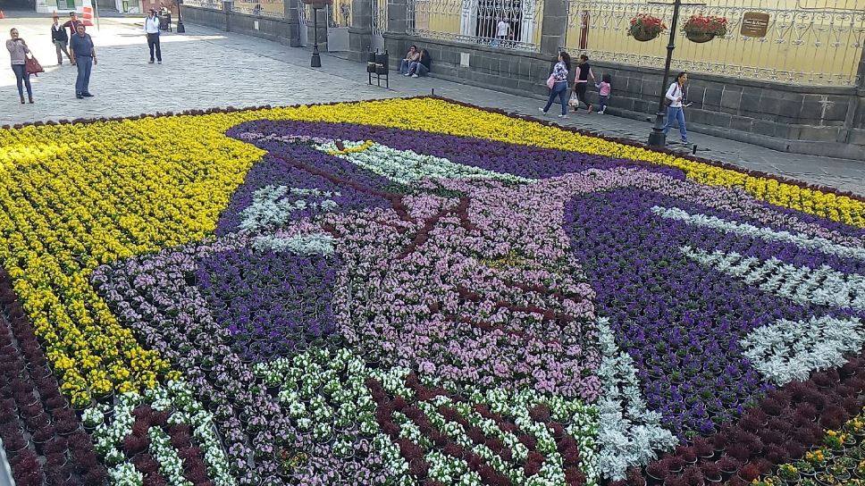 Atlixco recibe a visitantes con tapete floral monumental