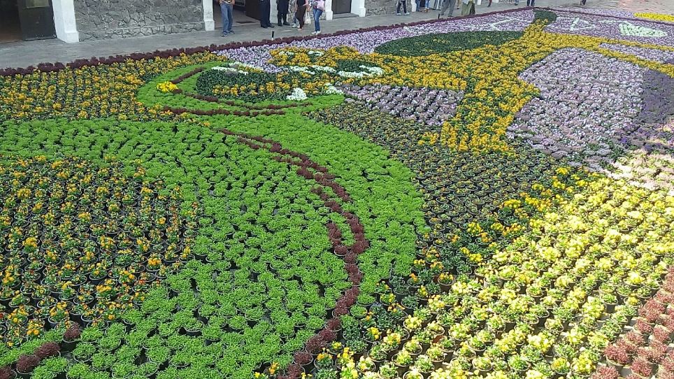 Atlixco recibe a visitantes con tapete floral monumental
