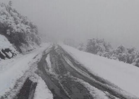 Las autoridades mantienen un operativo en el tramo carretero como ‘Las emes’, por la intensa nevada (Gobierno de Chihuahua)