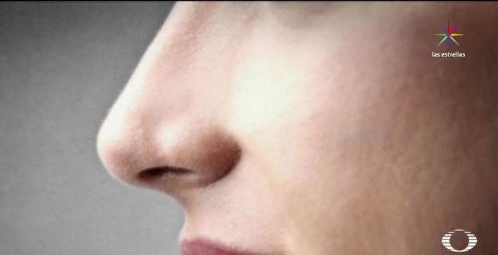 La nariz tiene funciones de gran relevancia en la vida diaria, ya que tiene una conexión importante con la memoria. (Noticieros Televisa)