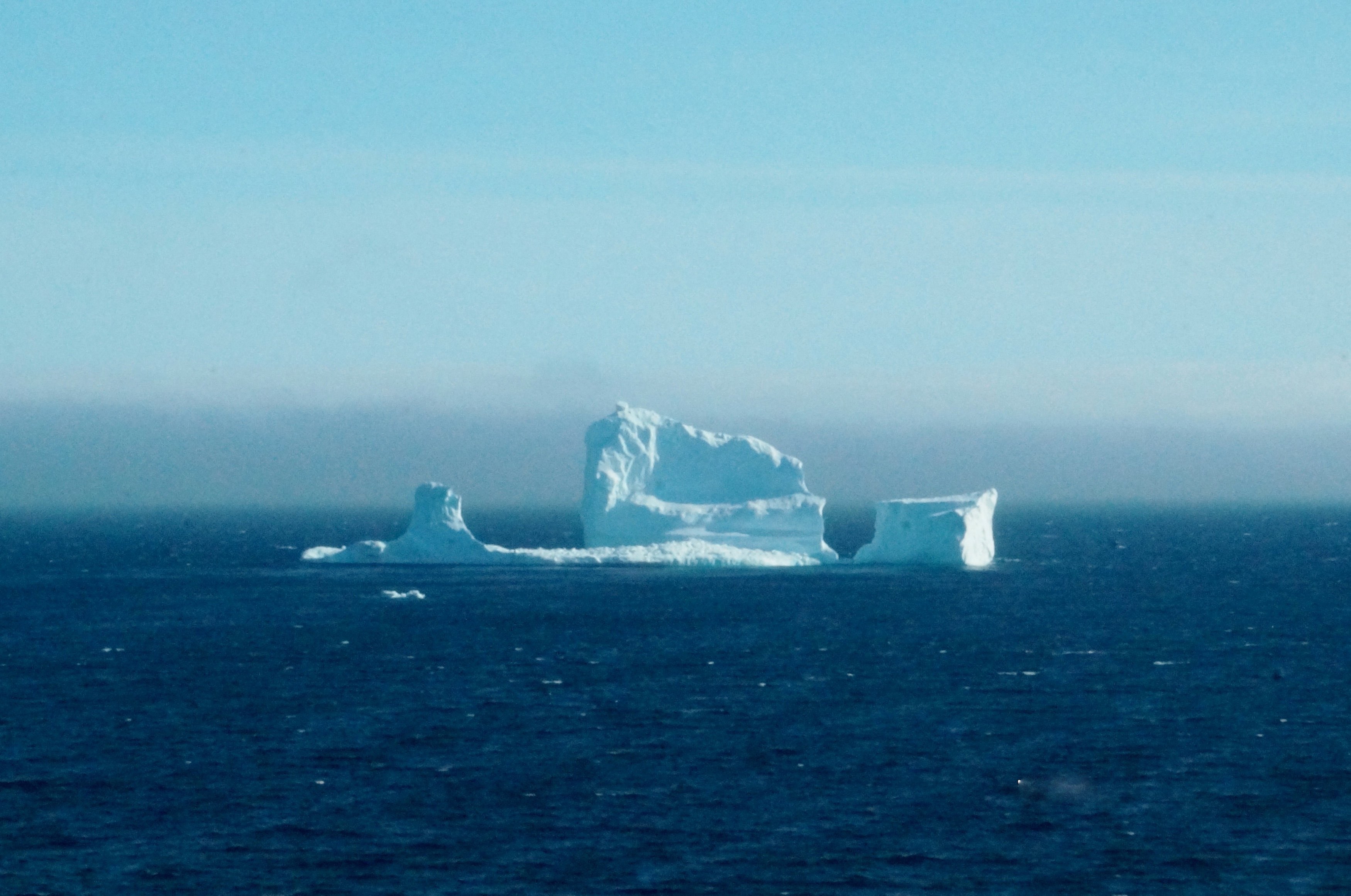 canada, ferryland, iceberg, icebergs, pueblo, avalon