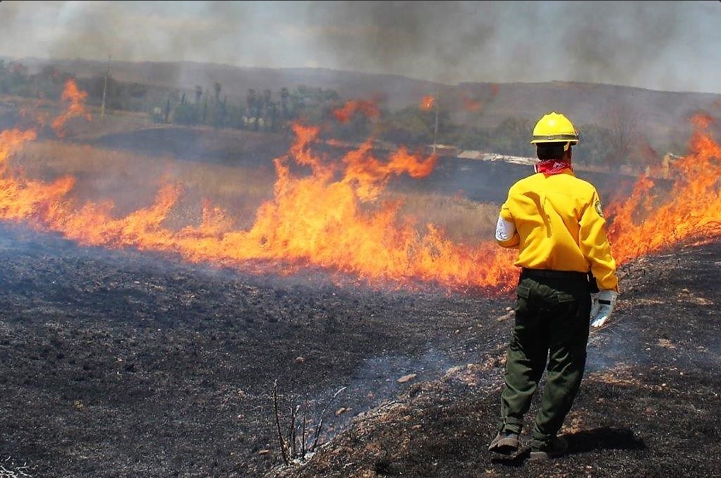 Incendio forestal en Ejido La Laguna, Zacatecas (Twitter @CONAFOR, archivo)