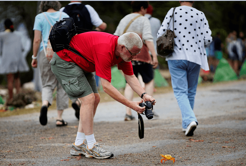 Los turistas aprovechan para fotografiar a los cangrejos. (Reuters) 