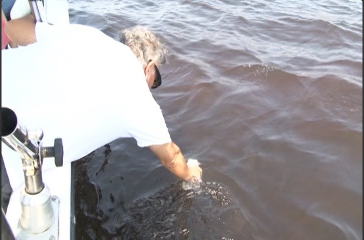 Detectan marea roja tóxica en Manzanillo. (Twitter @gobiernocolima)