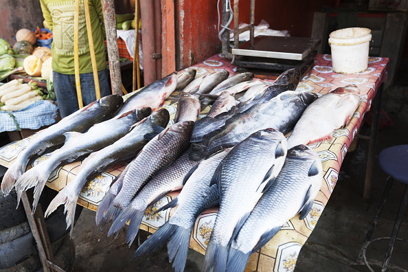 Recomendaciones para el consumo de pescados y mariscos en la CDMX