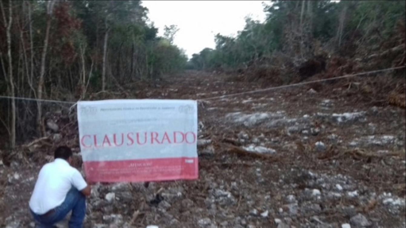 Predio donde se realizó el desmonte de vegetación, ubicado en Puerto Morelos, Quintana Roo (Twitter, @PROFEPA_Mx)