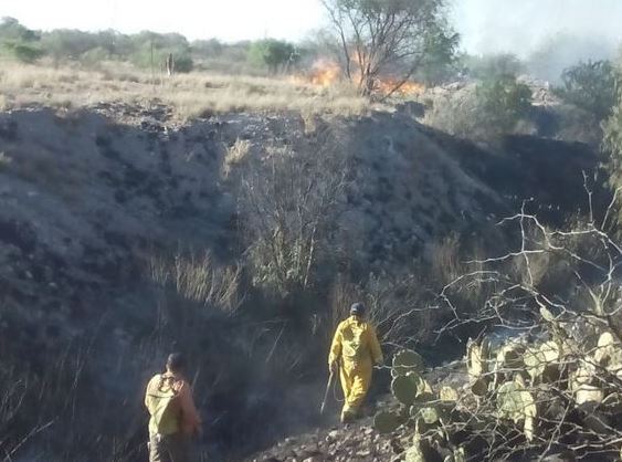 Protección Civil SLP atiende incendio en el cerro de San Miguelito. (Twitter @ProtCivilSLP, Archivo)