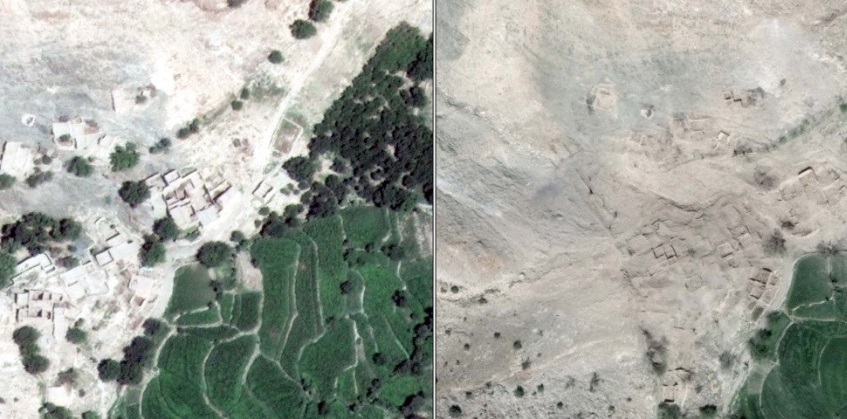 La destrucción fue absoluta en árboles al suroeste de la aldea de Asadkhel, Afganistán (Foto: businessinsider.com)