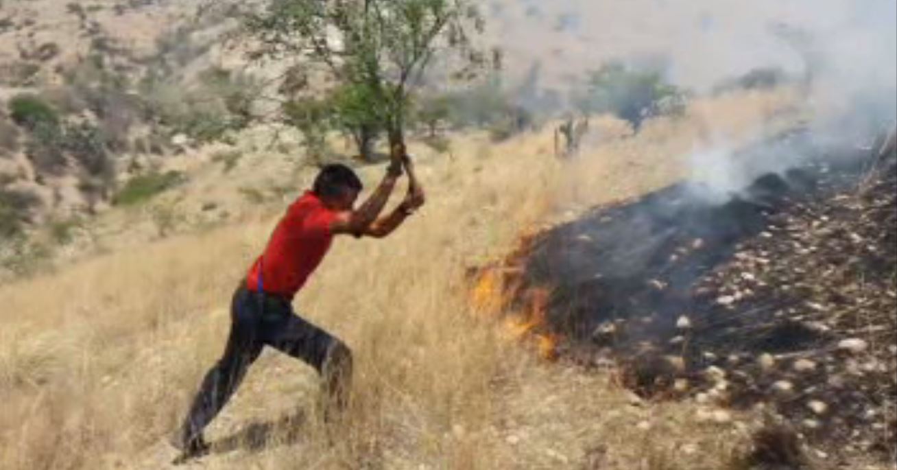 Se mantienen activos incendios en Guanajuato. (Noticieros Televisa)