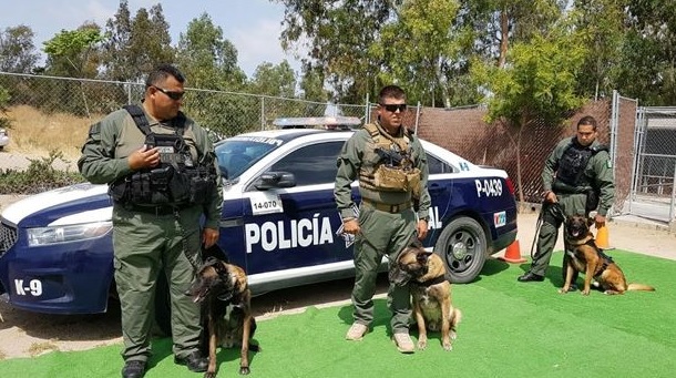 Unidad Canina de la Policía Municipal de Tijuana. (uniradioinforma.com, archivo)