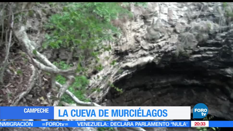noticias, teelvisa news, Cueva, murcielagos, Calakmul, campeche