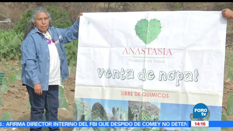 noticias, forotv, Campesina, Milpa Alta, produce, nopal organico