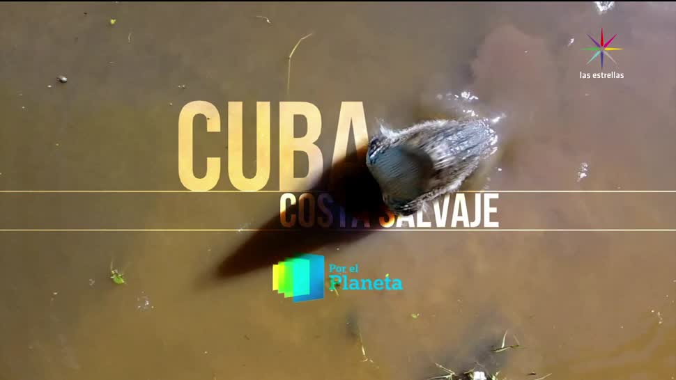 noticias, televisa news, Por el Planeta, Cuba y sus reservas marinas, Parte 1, reservas marinas cubanas
