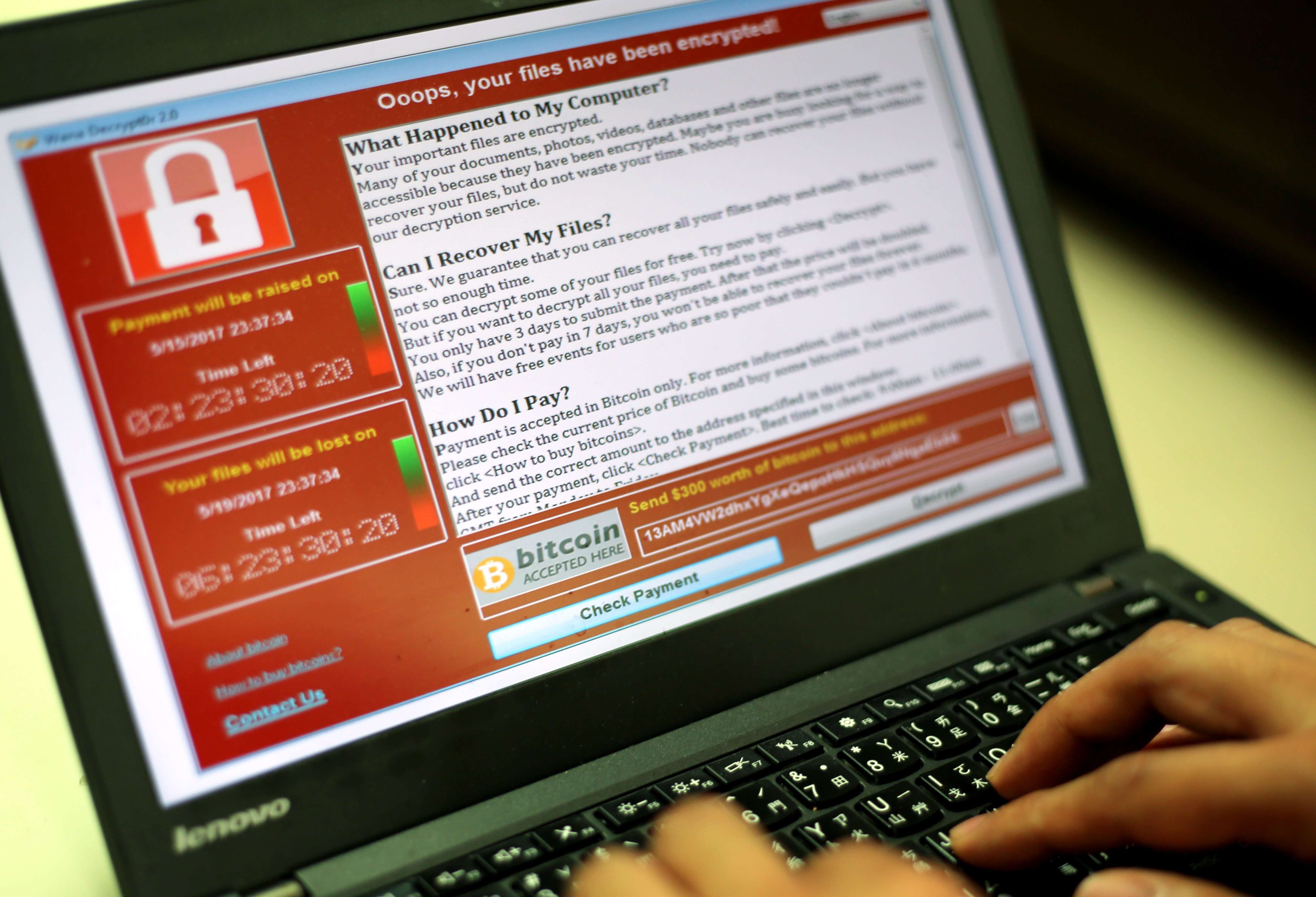 Un programador muestra un ciberataque en una computadora portátil. (EFE)