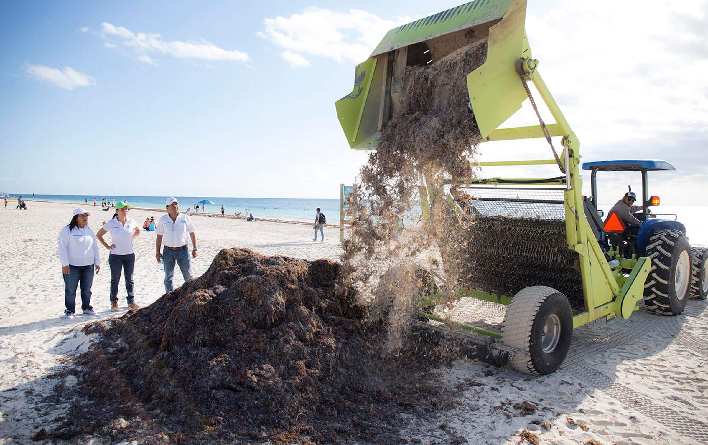 Limpieza por sargazo en playas de Cancún. (Notimex, archivo)