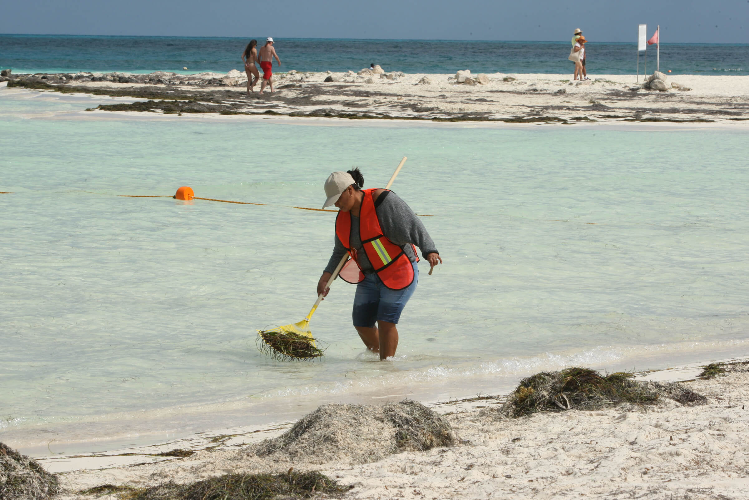 Trabajos de limpieza por sargazo en playas de Cancún. (Notimex, archivo)