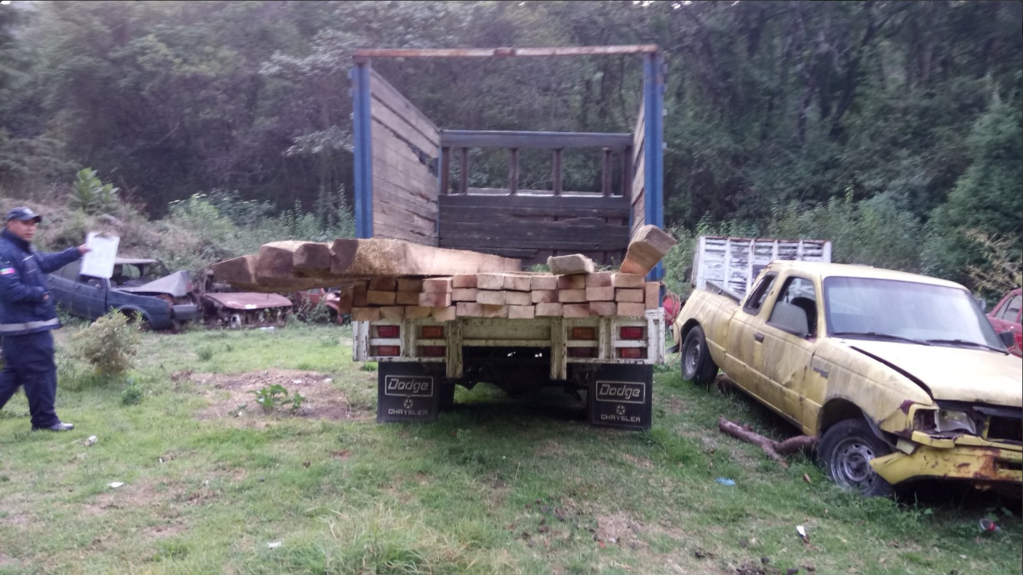 Un camion con madera ilicita es asegurado