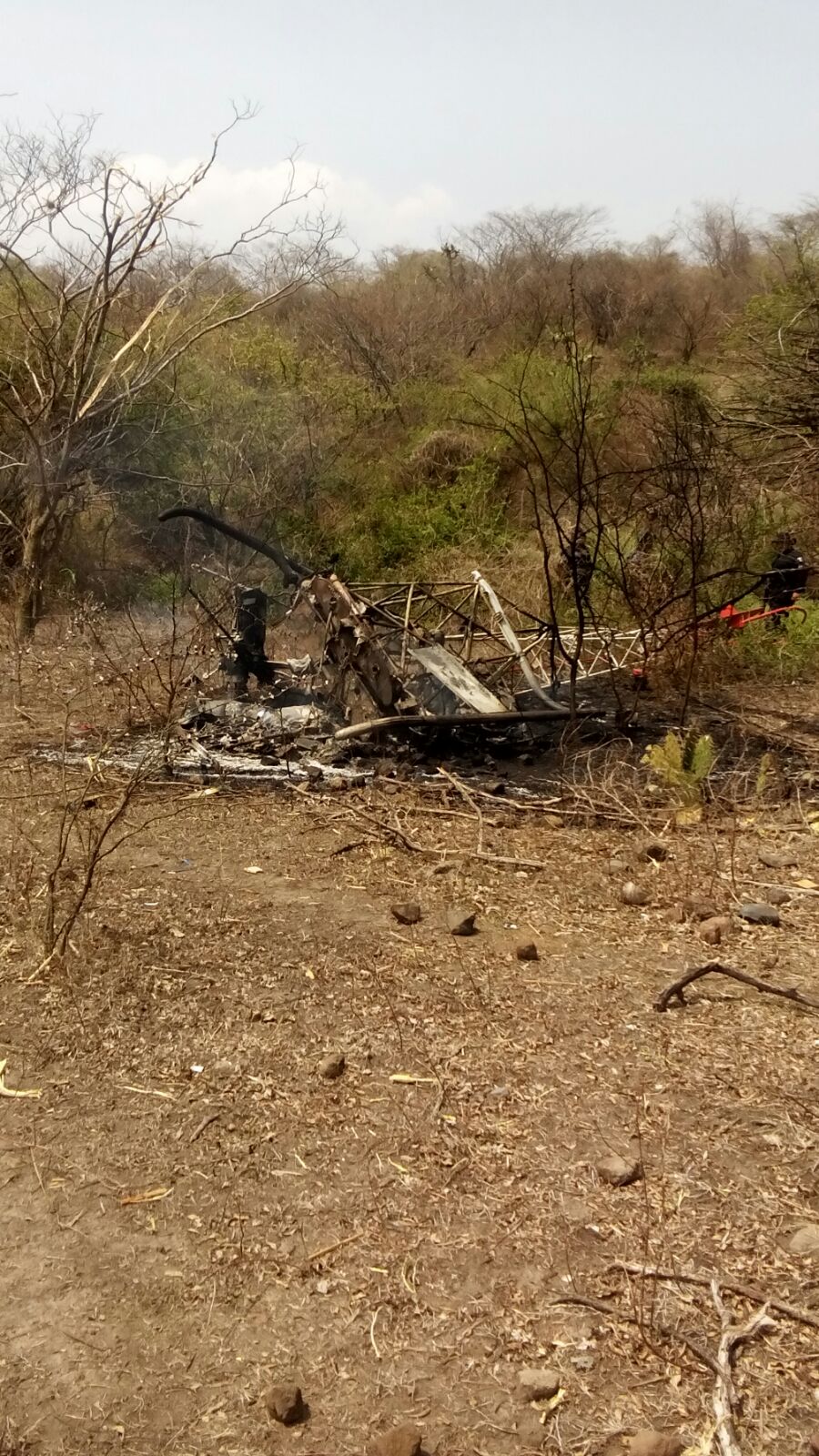 Avioneta accidentada en Amacuzac, Morelos Noticieros Televisa