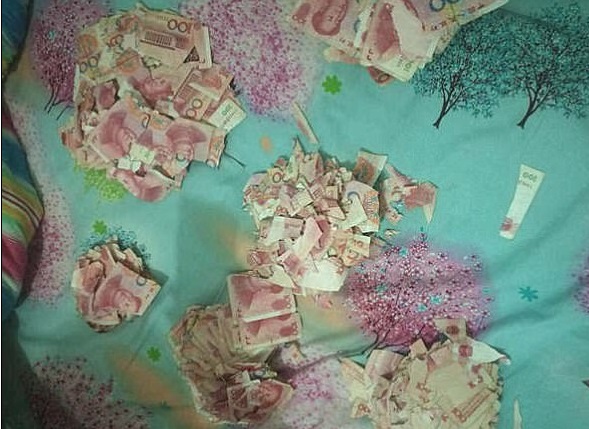 Los billetes rotos eran un préstamo del banco (Foto: dailymail)