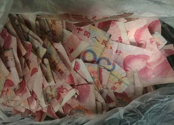 Un niño de cinco años se había quedado en casa sin supervisión y rompió billetes (Foto: dailymail)
