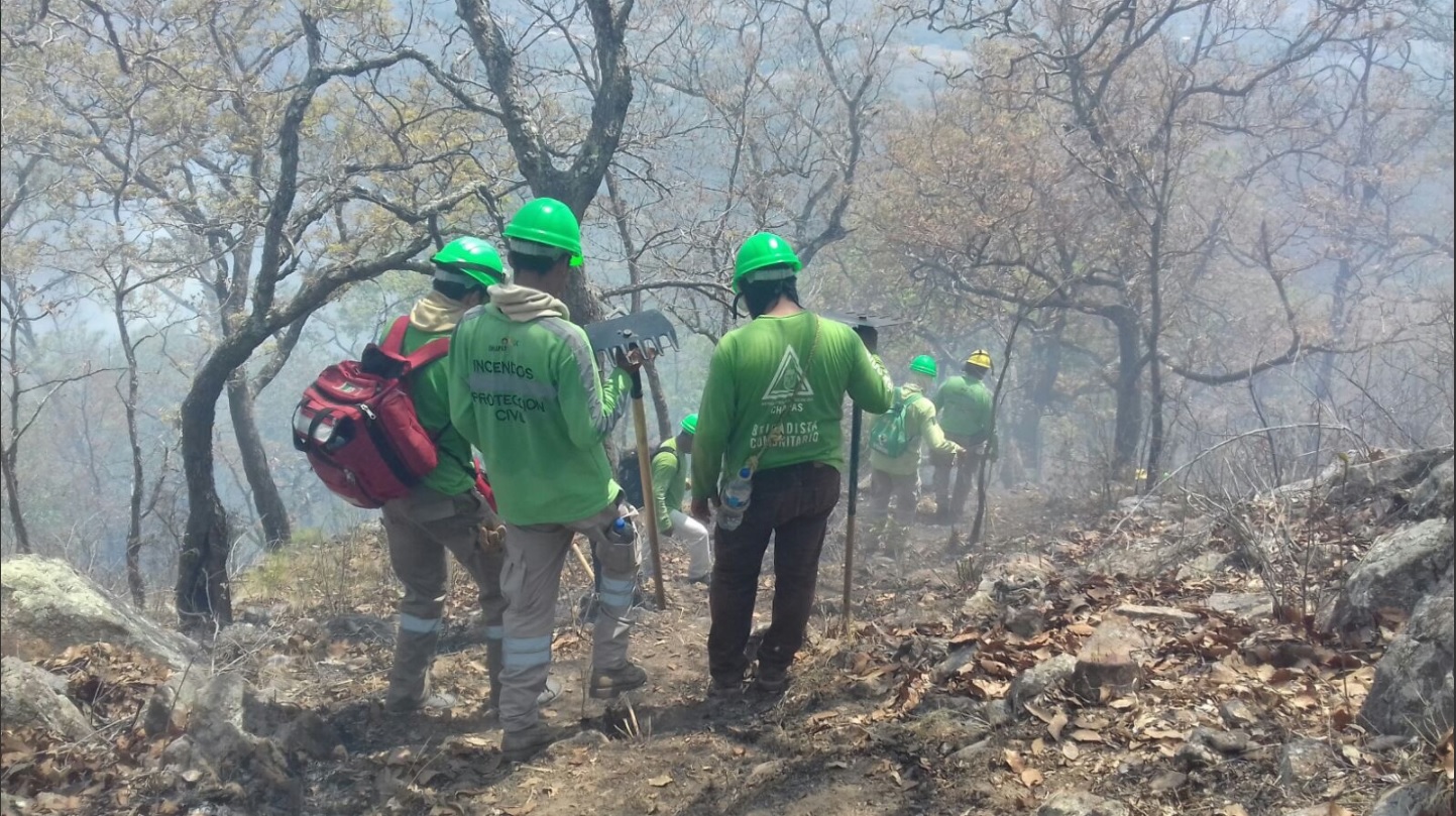 Brigadistas luchan contra incendio forestal en Chiapas