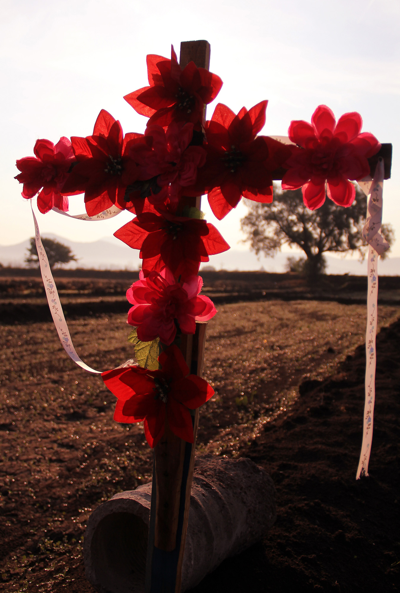 Celebran en México el Día de la Santa Cruz