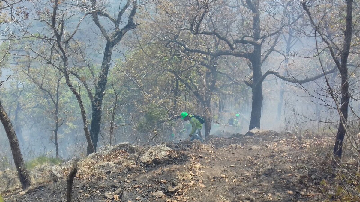 Protección Civil Chiapas pide extremar precauciones para evitar incendios forestales