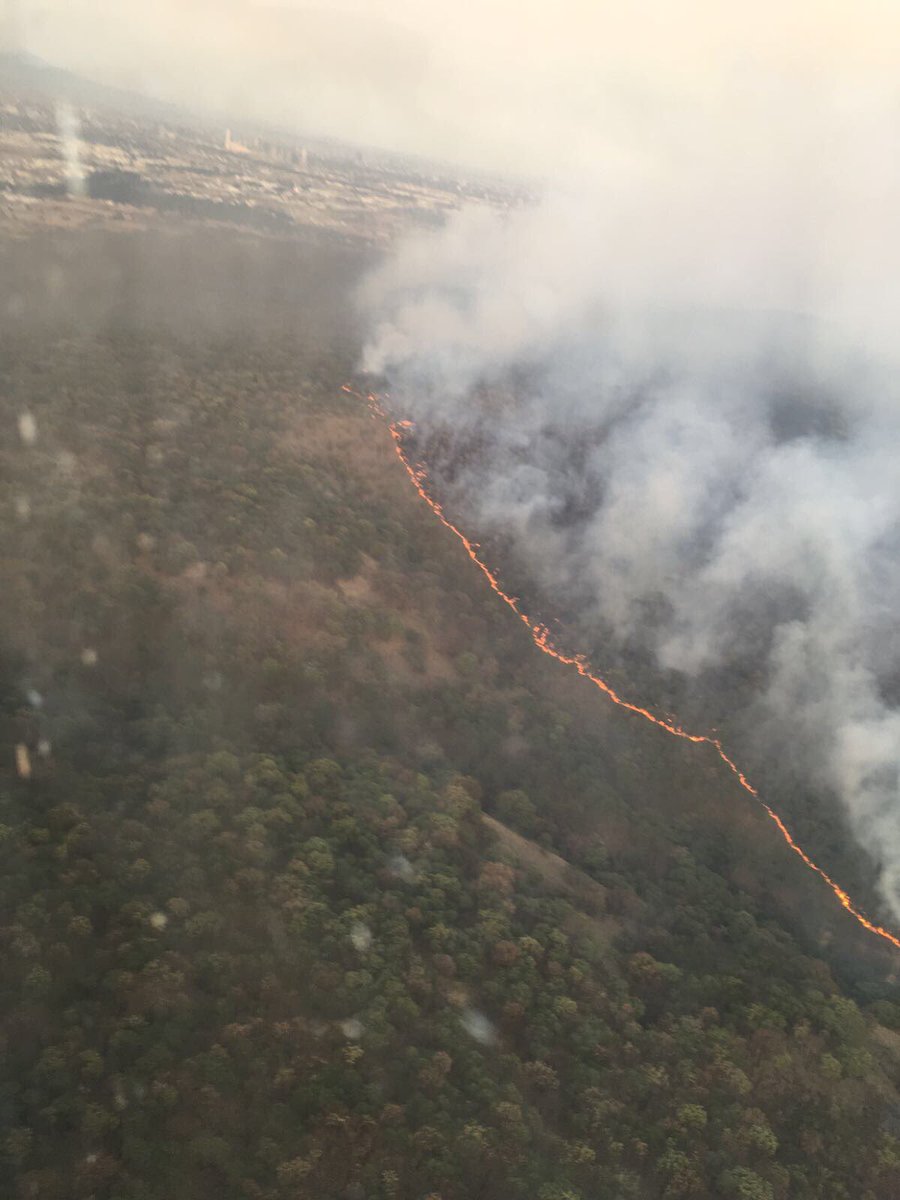 Incendio en Bosque de la Primavera, Jalisco