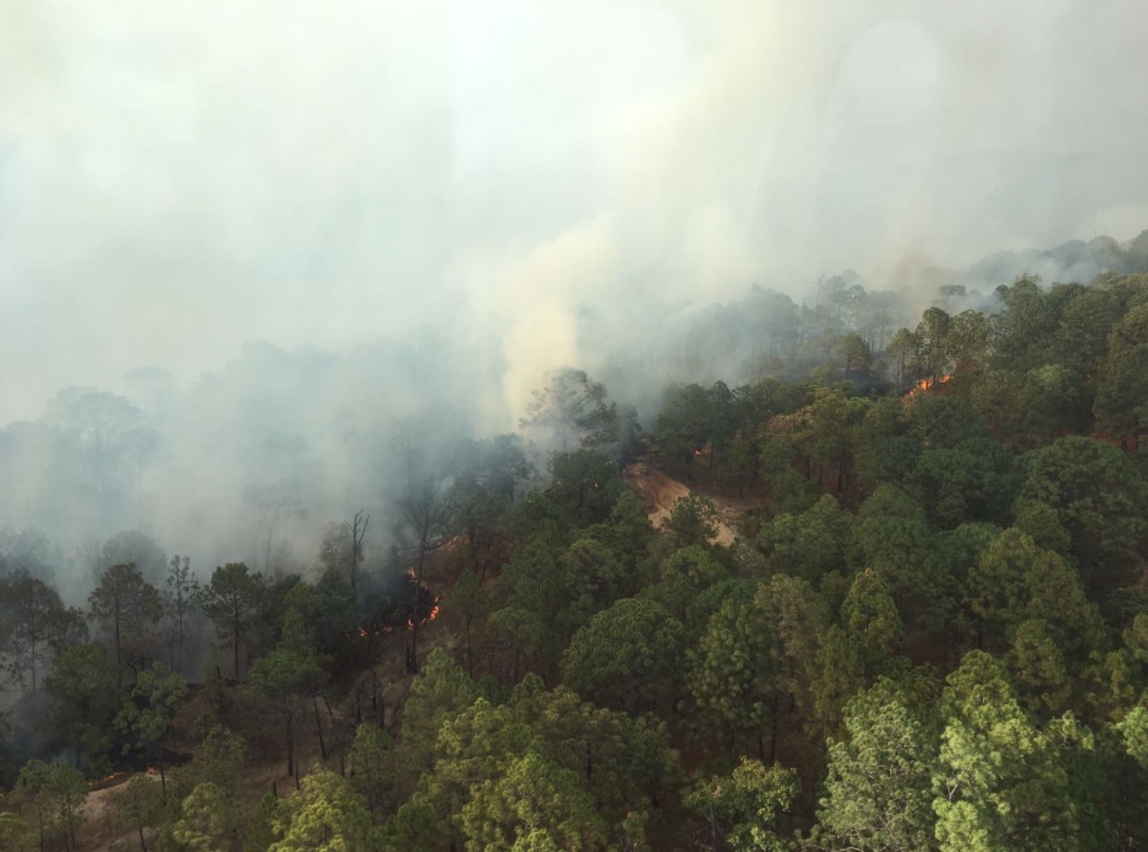 El Edomex es la entidad con más incendios forestales. (Twitter: @CONAFOR)