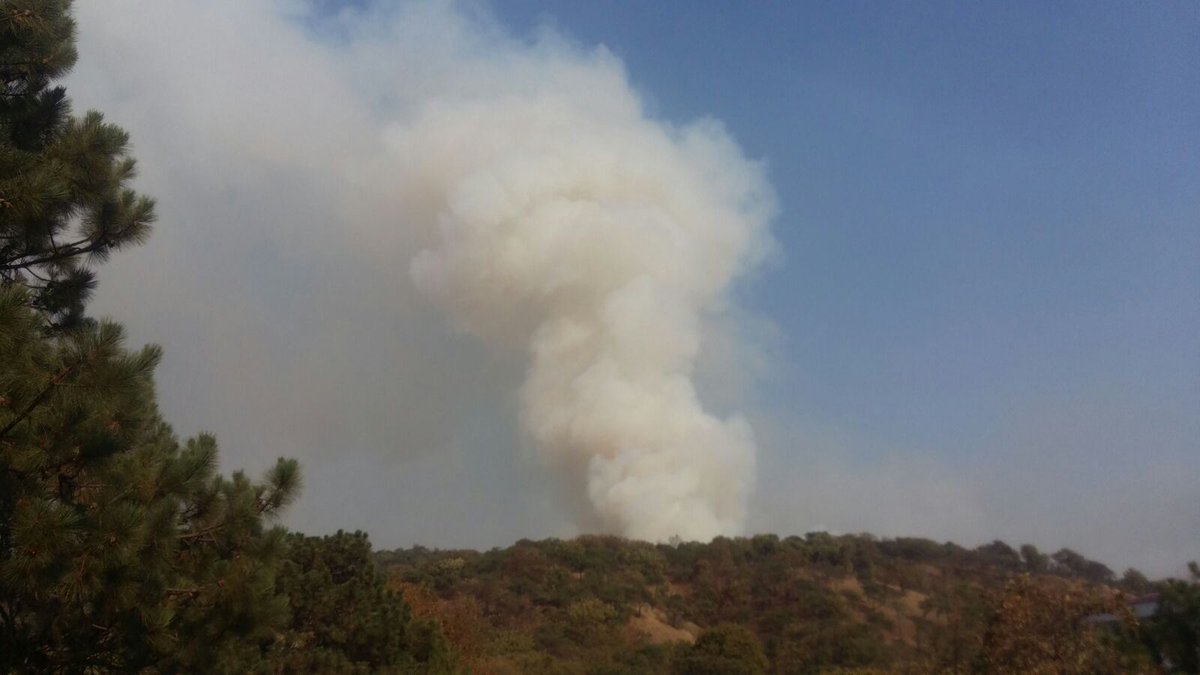 Incendios forestales afectan al estado de Jalisco