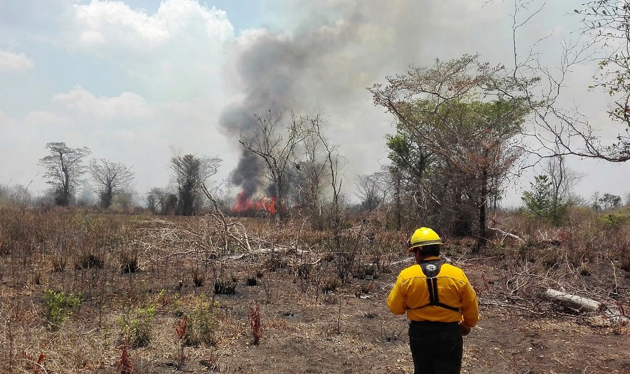 Incendio forestal en Hopelchén, Campeche. (Twitter @CONAFOR, archivo