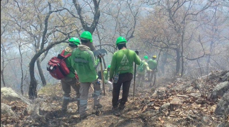 Combate de incendios forestales en Chiapas. (Twitter @pcivilchiapas)