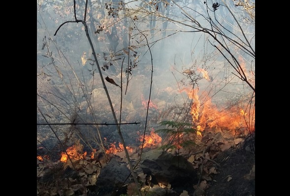 Incendio forestal en Bugambilias, Jalisco. (Twitter @SemadetJal)