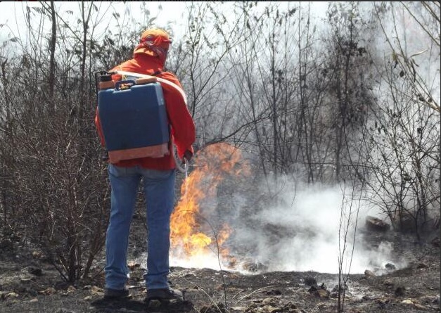 Incendios forestales en Yucatán. (Twitter @GobYucatan)