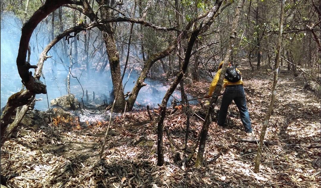 Incendio forestal en la Trinitaria, Chiapas. (Twitter @pcivilchiapas)