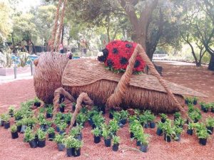 Jardín botánico, Chapultepec, festival de flores y jardines, medio ambiente, ecología, medio ambiente