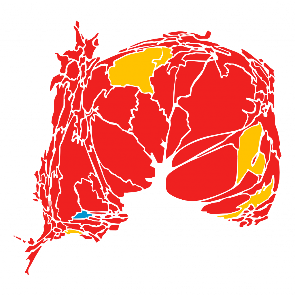 Total de votos 2005