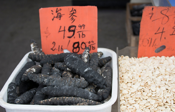 Pepino de mar es vendido en mercados de asia