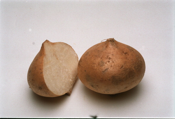 Ejemplares de jícama utilizada para elaborar pan