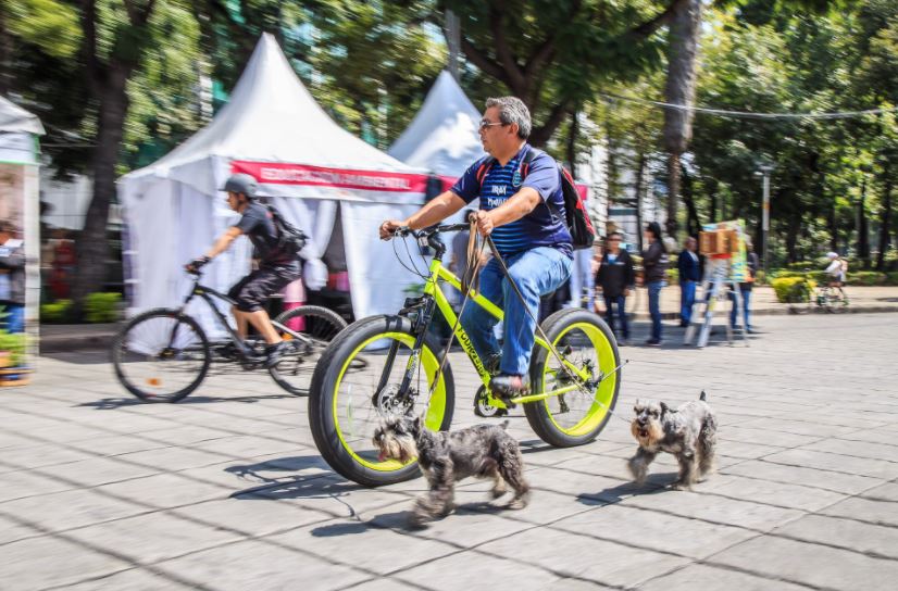 Foto: Capitalinos disfrutan del paseo dominical "Muévete en Bici", 18 agosto 2019