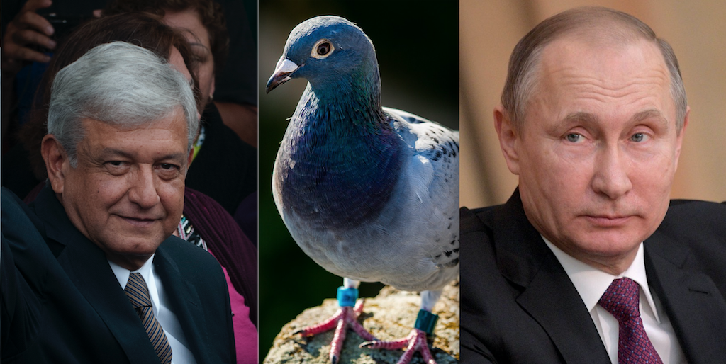 Video: La fascinación de los políticos por las palomas