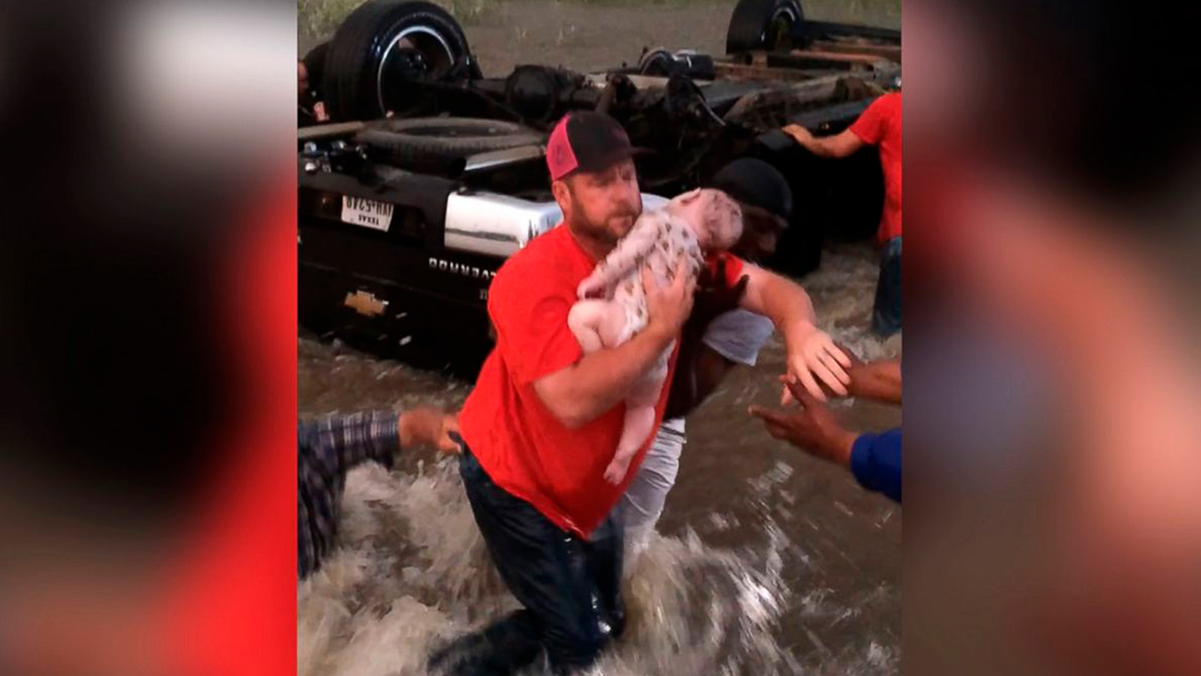Video muestra rescate de un padre y sus dos hijos tras paso de tornado.