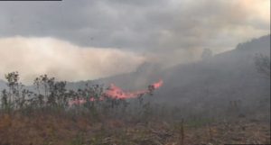 Fuego afecta 67 hectáreas de municipios de Chiapas