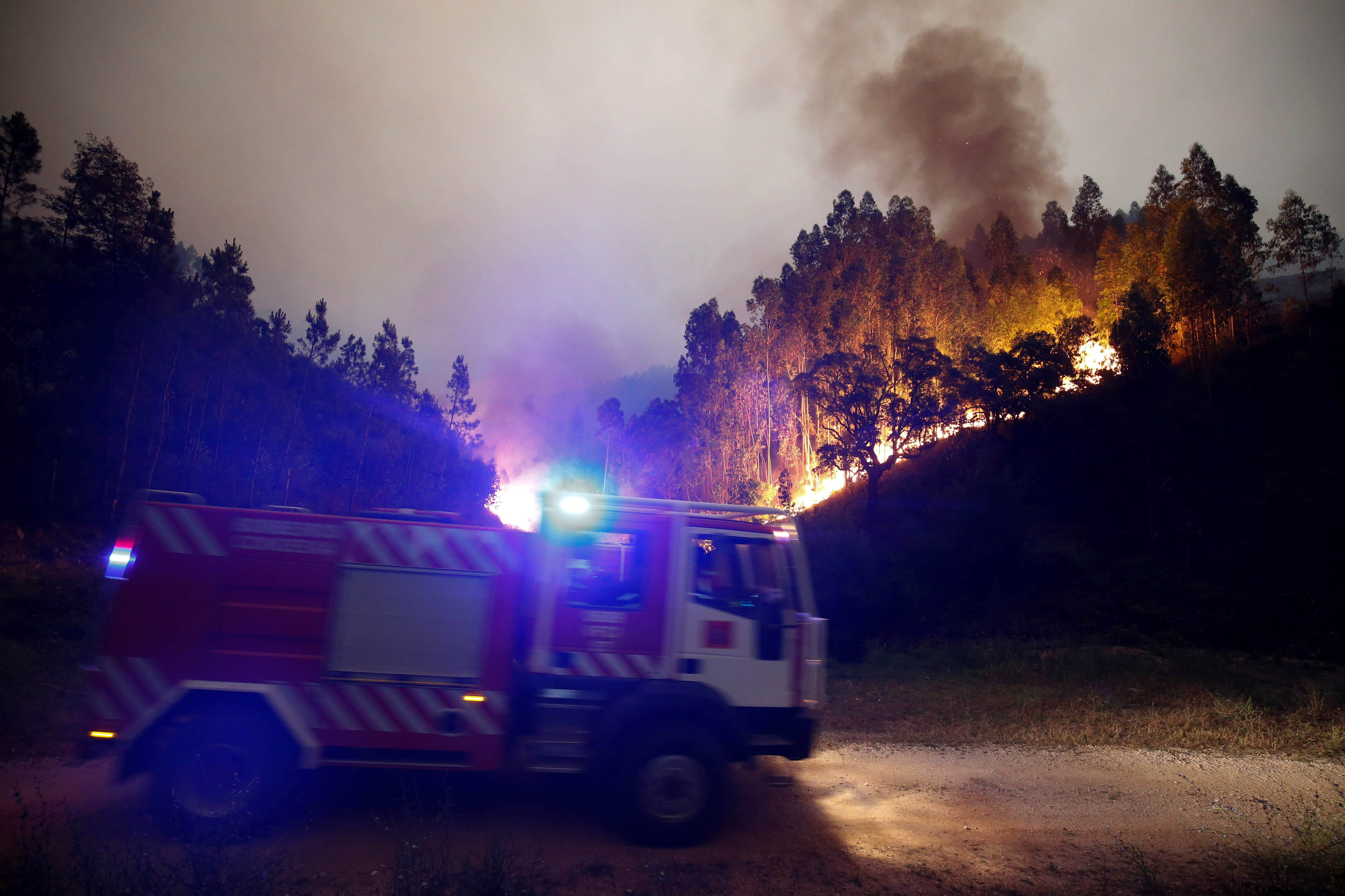 bomberos, trabajan, apagar, incendio forestal, Bouca, Portugal