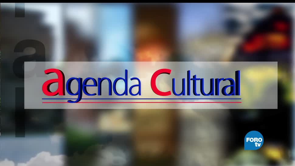 Agenda Cultural, MAM presenta, Amados Objetos, Agenda Pública