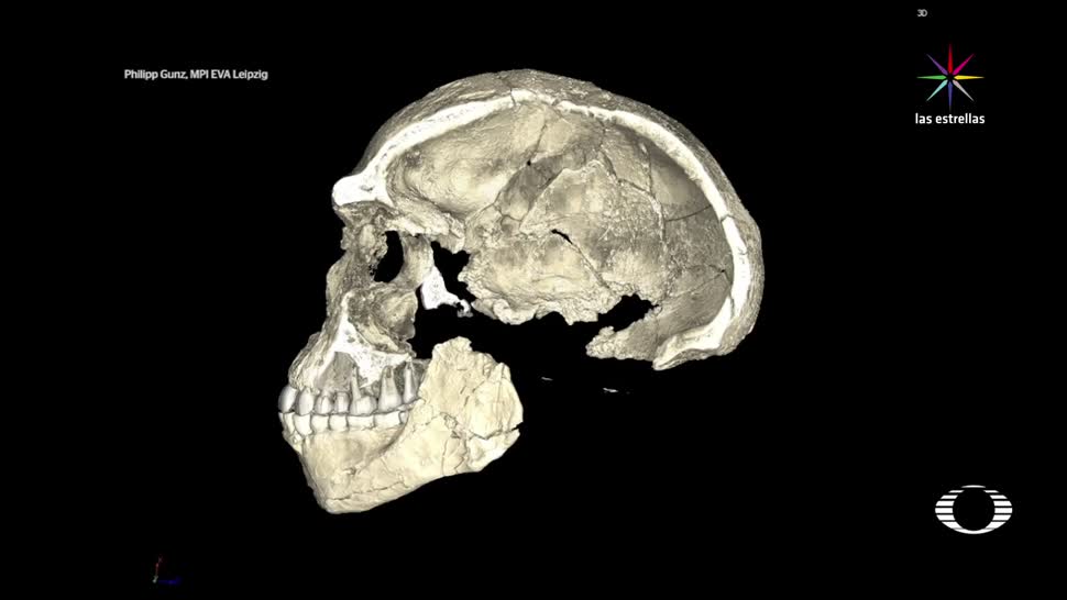 Homo Sapiens, más antiguo, pensaba, Etiopía, descubrimiento, científico