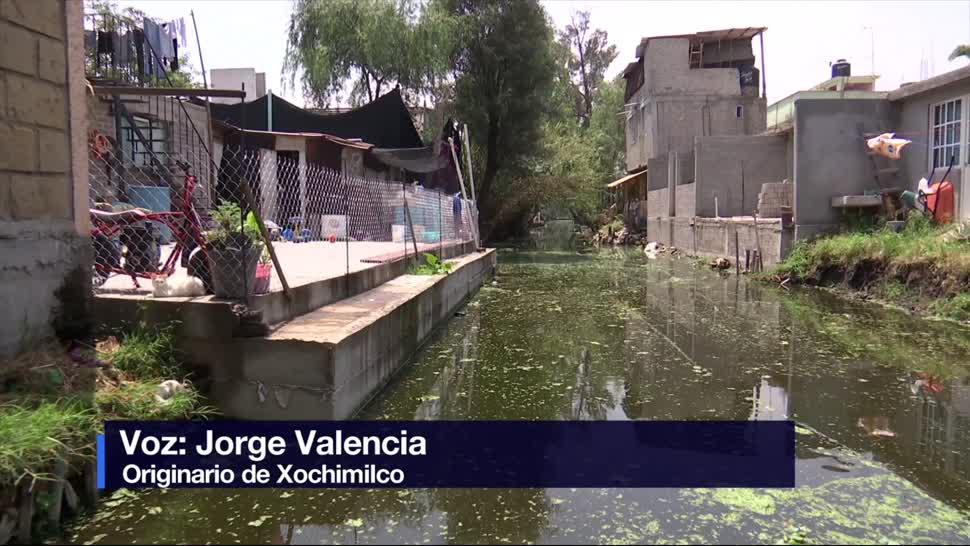 riesgo, zona chinampera, Xochimilco, contaminación
