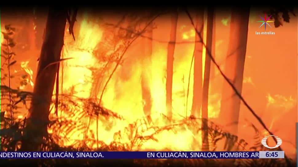 Portugal, peor incendio forestal, últimos 50 años, 62 murieron