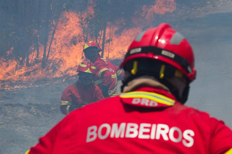 Emergencia En Portugal Por Incendio Forestal, Incendio Forestal Portugal, Embajada De Mexico, Activa Linea De Emergencia, Mexicanos En Portugal, Noticieros, Televisa, Televisa News